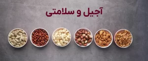 مجله سافیرامد 12 تاثیر آجیل بر سلامتی